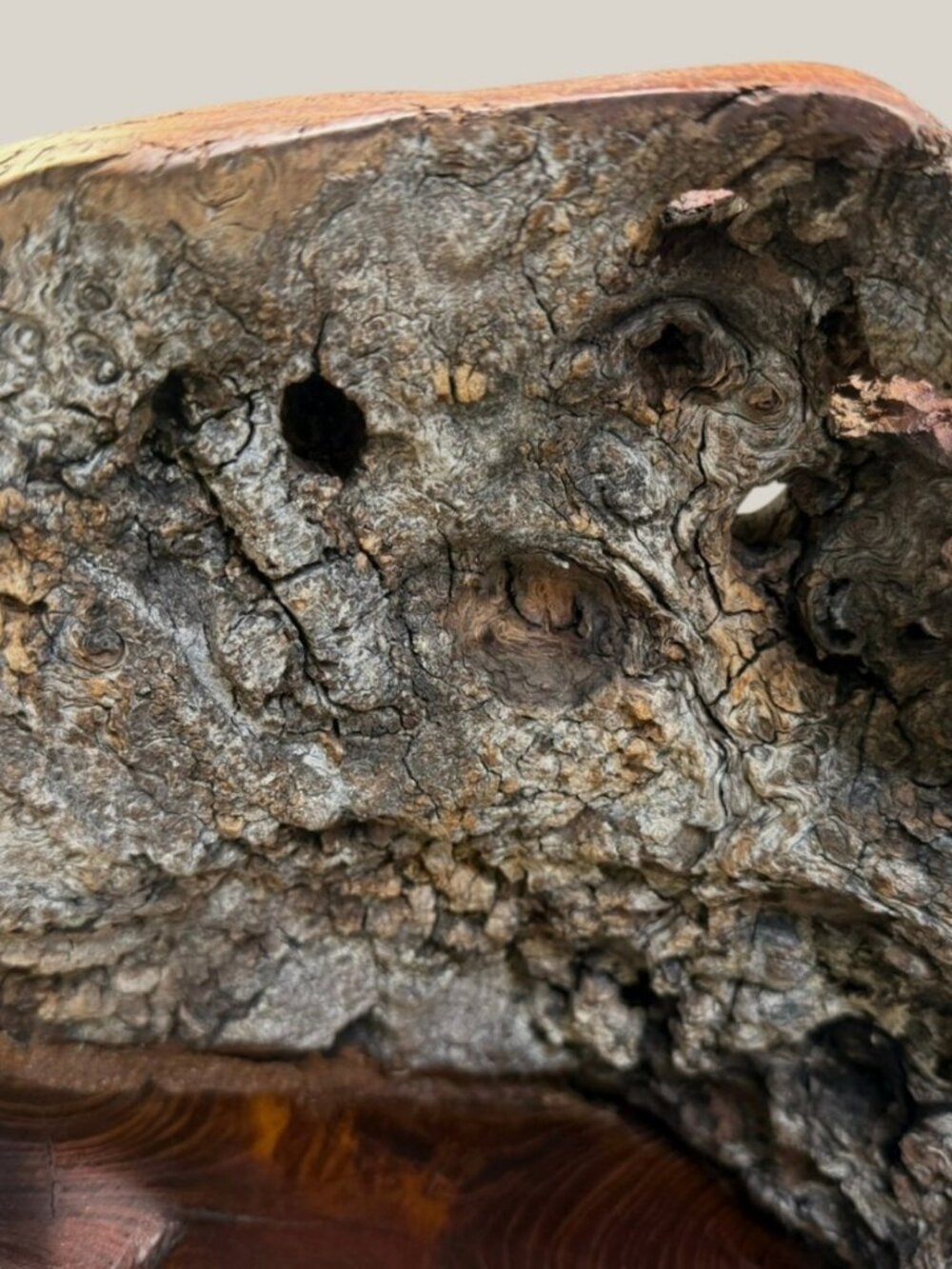 Vintage Burl Root Wood Abstract Sculpture Live Edge Base Organic Modern 17" - Picture 2 of 15